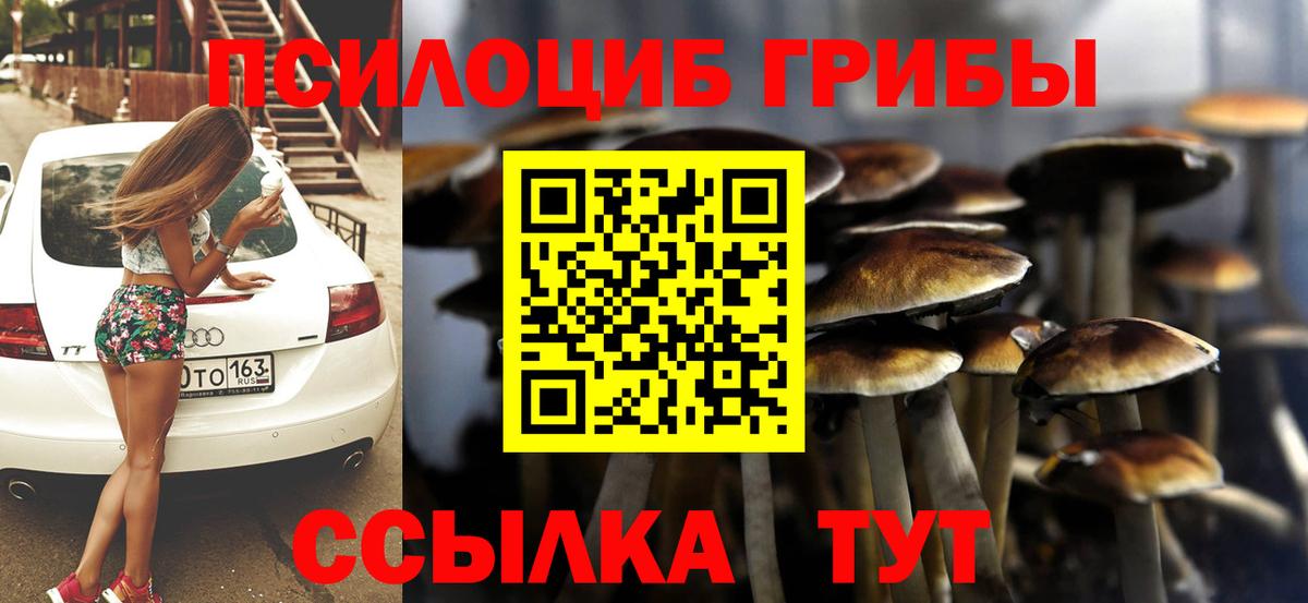 Вязьма  Псилоцибиновые грибы Psilocybine cubensis  Вход с VPN 